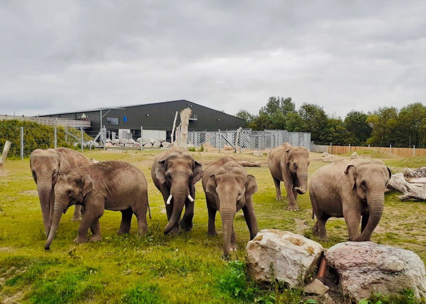 One of the UK’s top animal parks | Blackpool Zoo